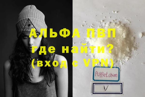 ECSTASY Белокуриха