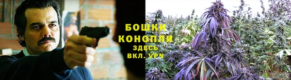 ECSTASY Белокуриха